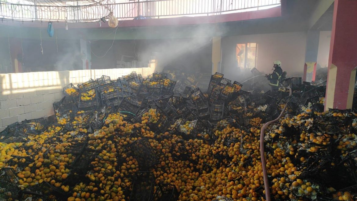 Depodaki yangında 10 ton mandalina zarar gördü