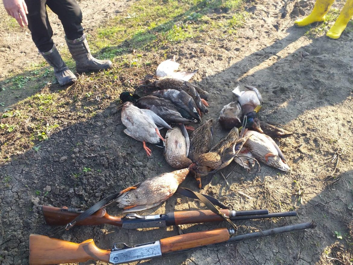 Kuş cennetinde kaçak ördek avlayan öğretmen yakalandı