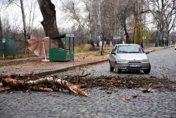 Seyir halindeki otomobilin üzerine ağaç devrildi