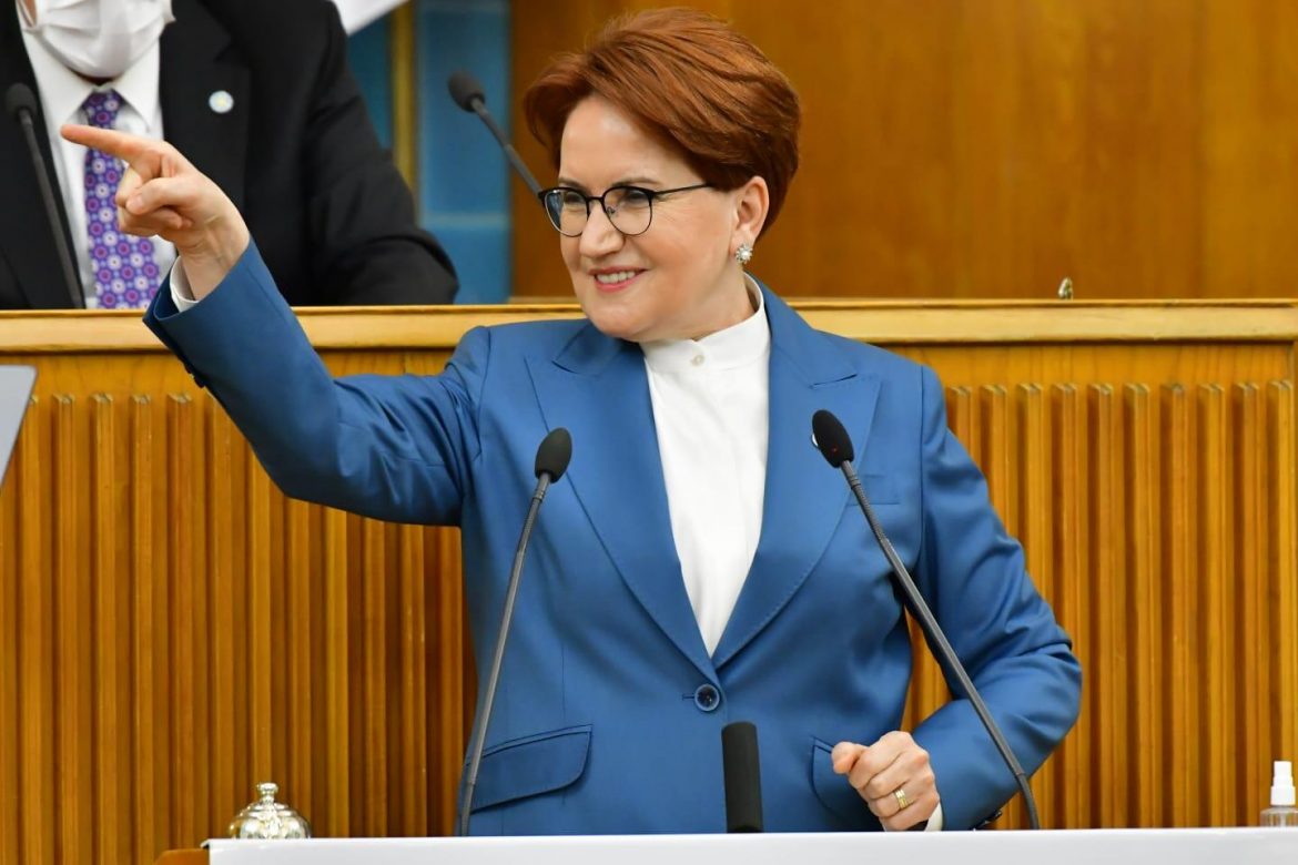 Akşener: Türkiye iklim kriziyle mücadelenin dışında kalamaz