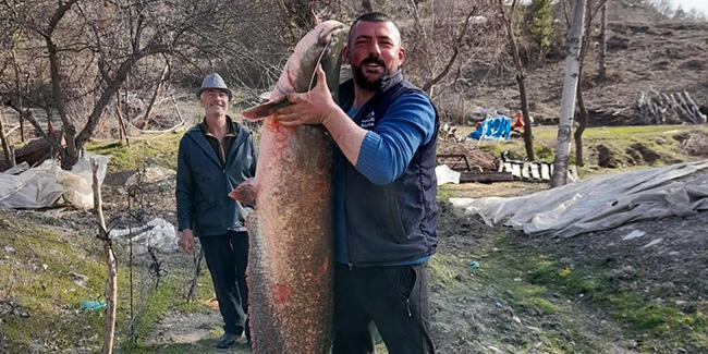 Baraj gölünde 47 kiloluk yayın balığı yakaladı