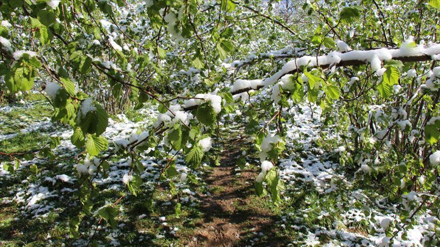 Bugün İstanbul hava durumu nasıl olacak? Meteoloji’den kuvvetli rüzgar, yağış ve zirai don uyarısı