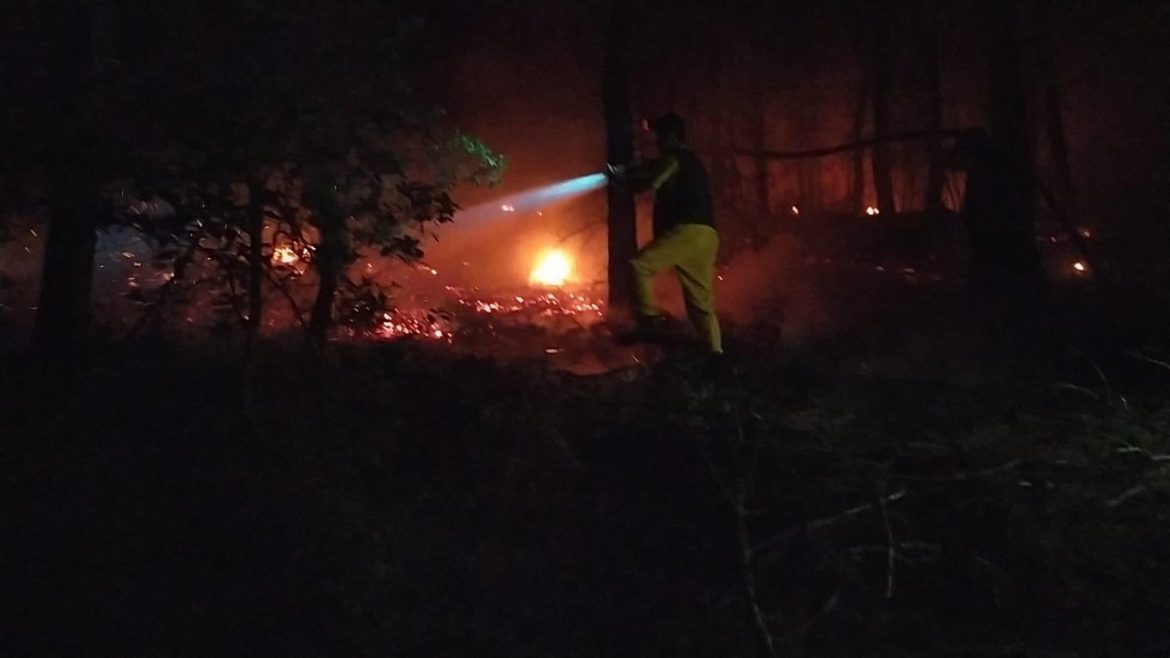 Adana’nın Kozan ilçesinde orman yangını