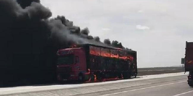 Buzdolabı yüklü TIR alev alev yandı