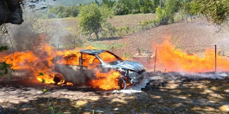 Dalları yakarken alevlerin sıçradığı otomobili yandı