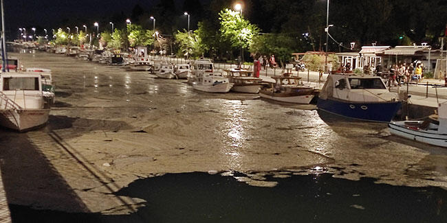 Fotoğraflar Kurbağalıdere’den! Nedeni belli oldu