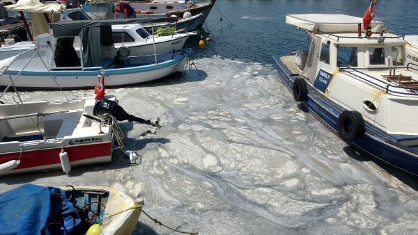 Çanakkale Boğazı’nda müsilaj temizliği devam ediyor