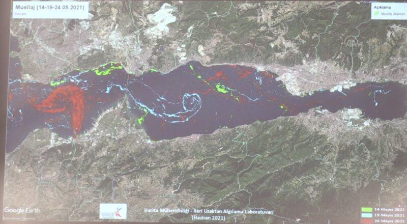 Marmara’daki müsilajın yoğunluk haritası çıkarıldı