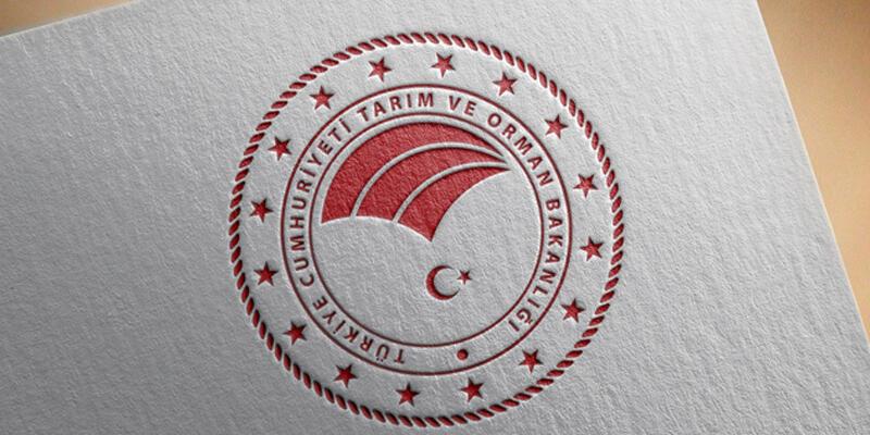 Tarım ve Orman Bakanlığı’ndan, Türkiye’nin büyükbaş hayvan varlığı açıklaması