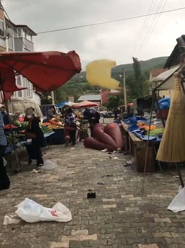 Tokat’ta kuvvetli rüzgar; ağaçlar devrildi, çatılar uçtu