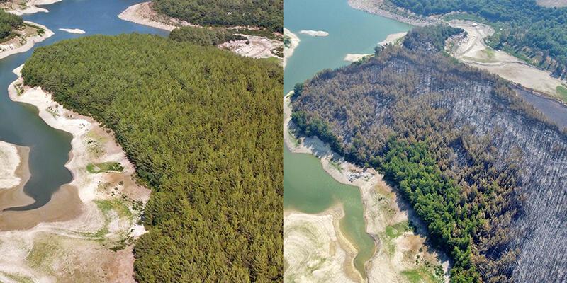 Osmaniye’deki orman yangını kontrol altına alındı