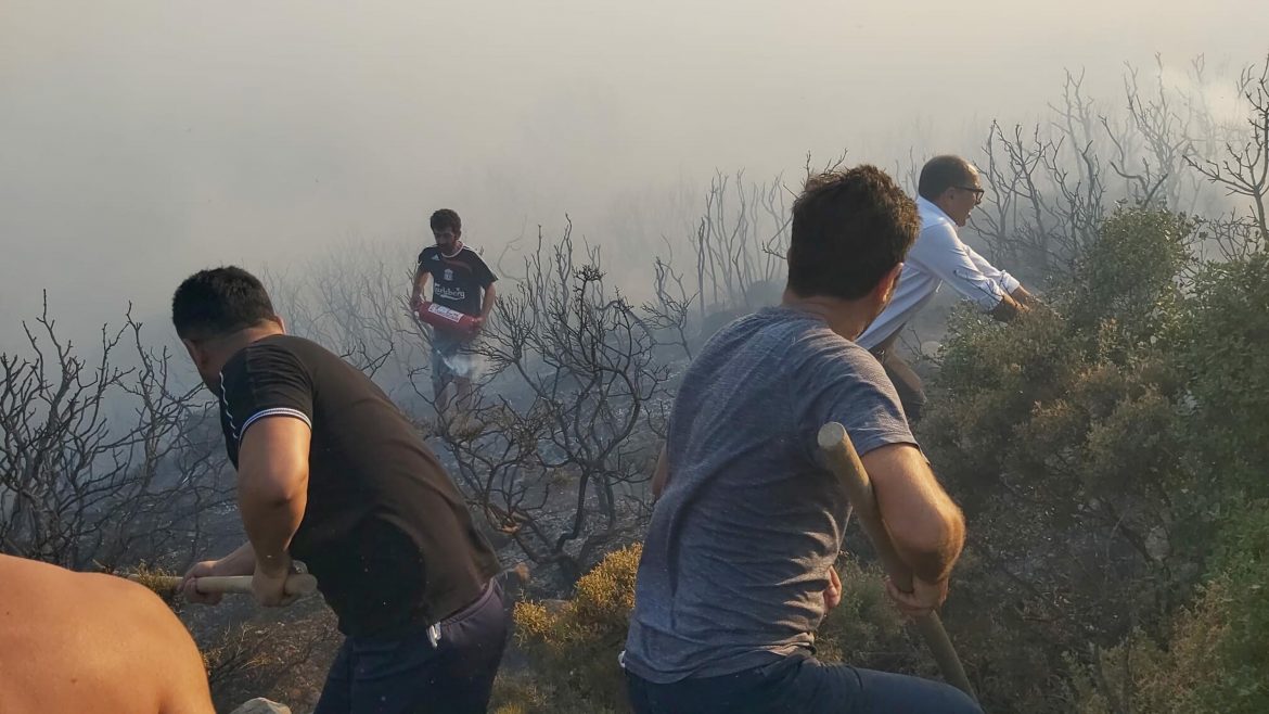 Datça’da makilik ve zeytinlik alanda yangın