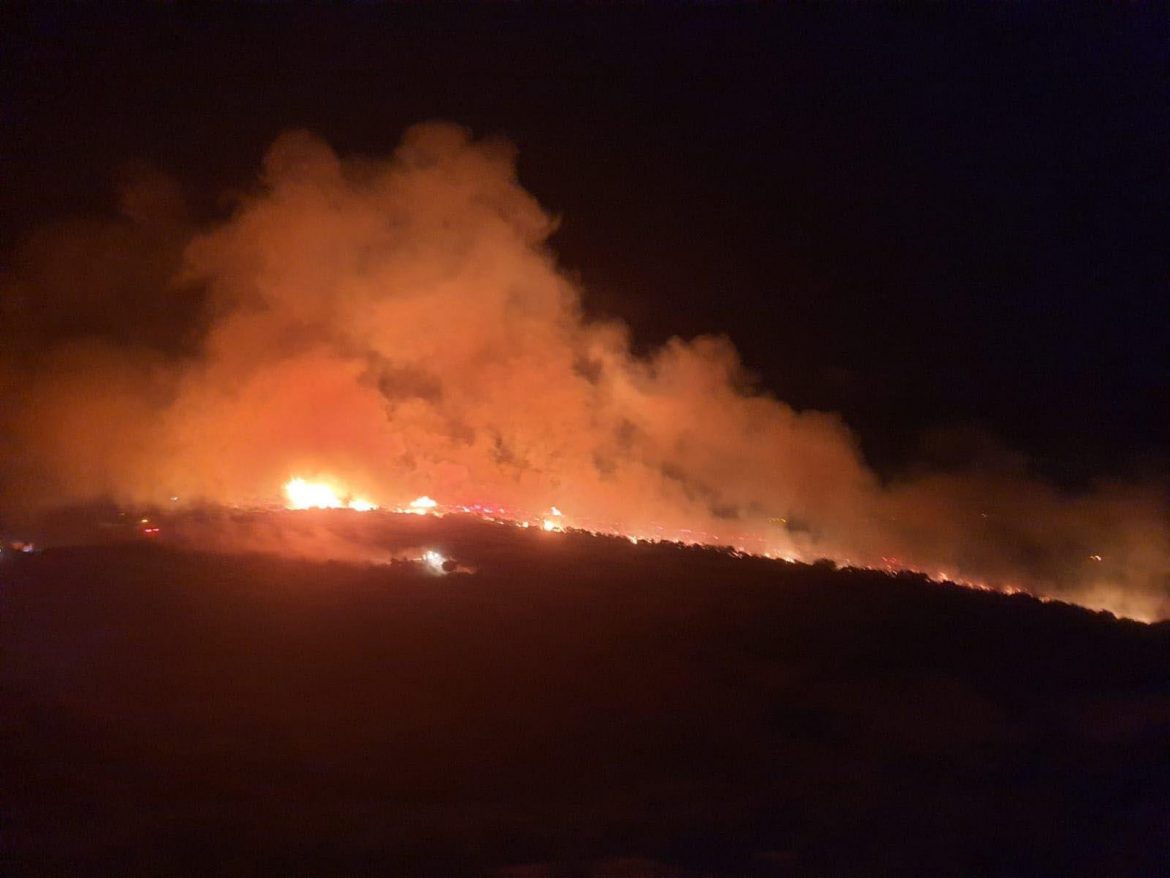 Manisa’da makilik alanda yangın