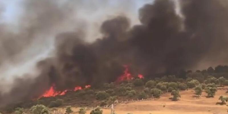 Son dakika haberi: Milas yangını kontrol altına alındı