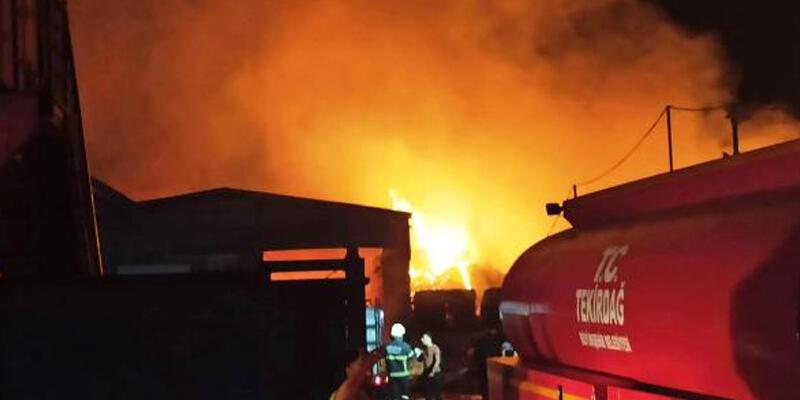 Tekirdağ’da geri dönüşüm fabrikasında yangın