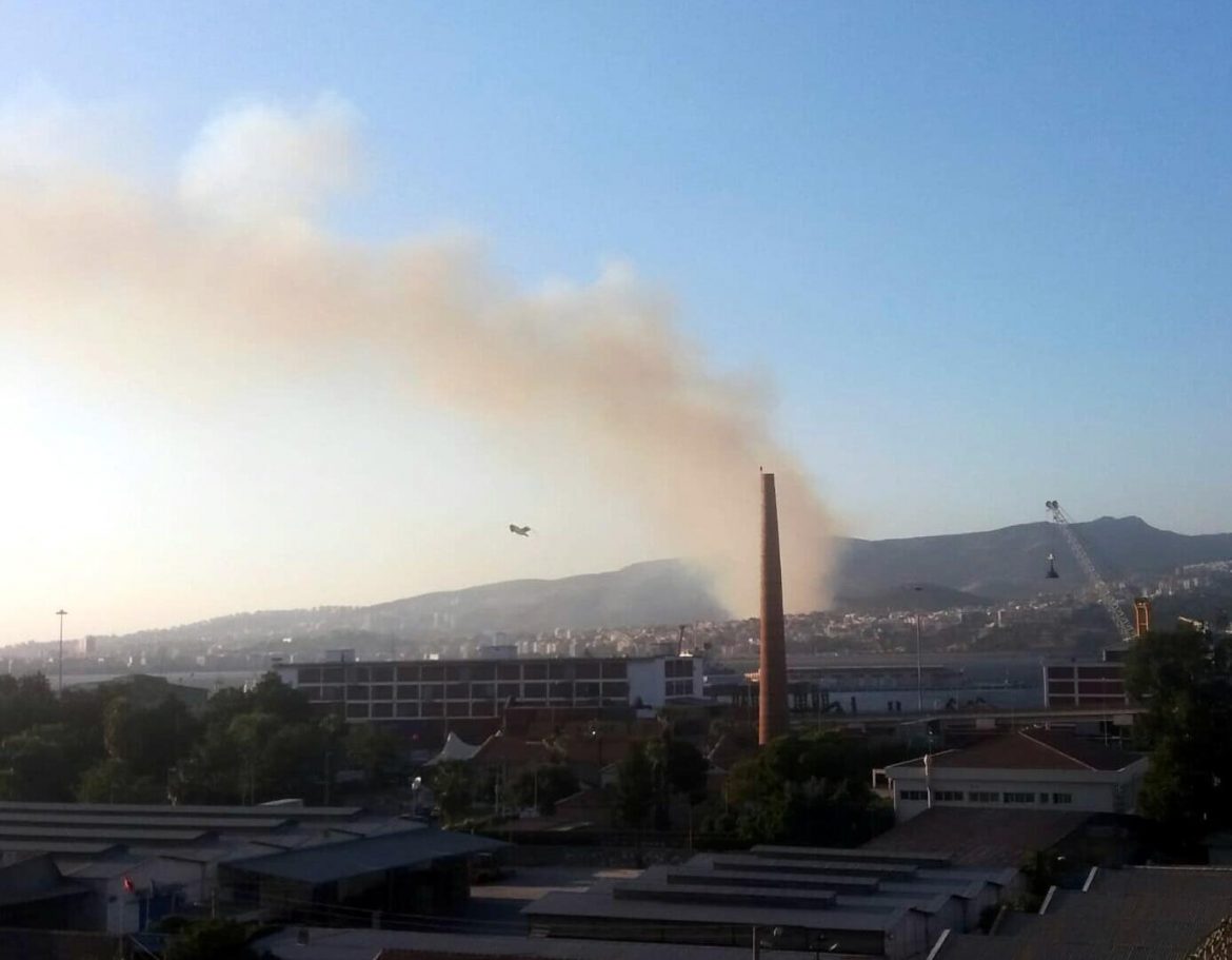 İzmir’de orman yangını